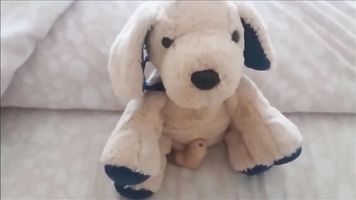 no hay duda: mi prima todavía disfruta jugando con sus juguetes de peluche, pero ella no debería estar jugando de esta manera!