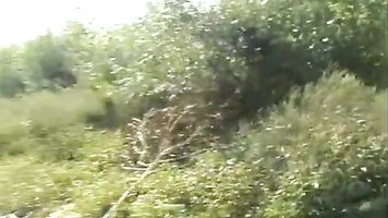 Una chica sola en el campo es k. y golpeado
