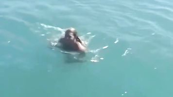 Real amateur esposas en un hardcore orgía en un barco